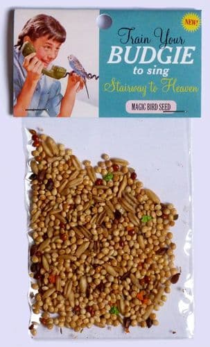 Train Your Budgie To Sing "Stairway To Heaven" #147