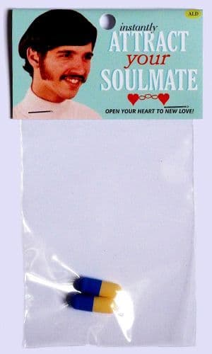 ATTRACT YOUR SOULMATE INSTANTLY #9