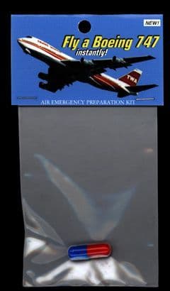 Fly A Boeing 747 Instantly #73