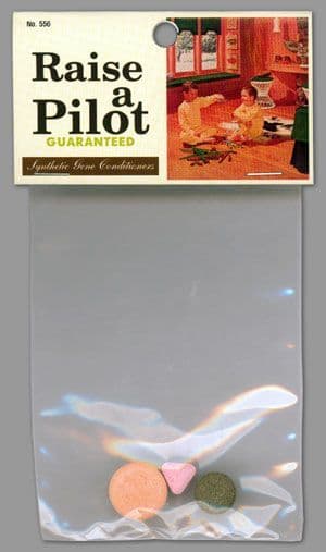 Raise A Pilot Guaranteed #129