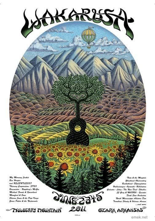 Wakarusa Festival 2011